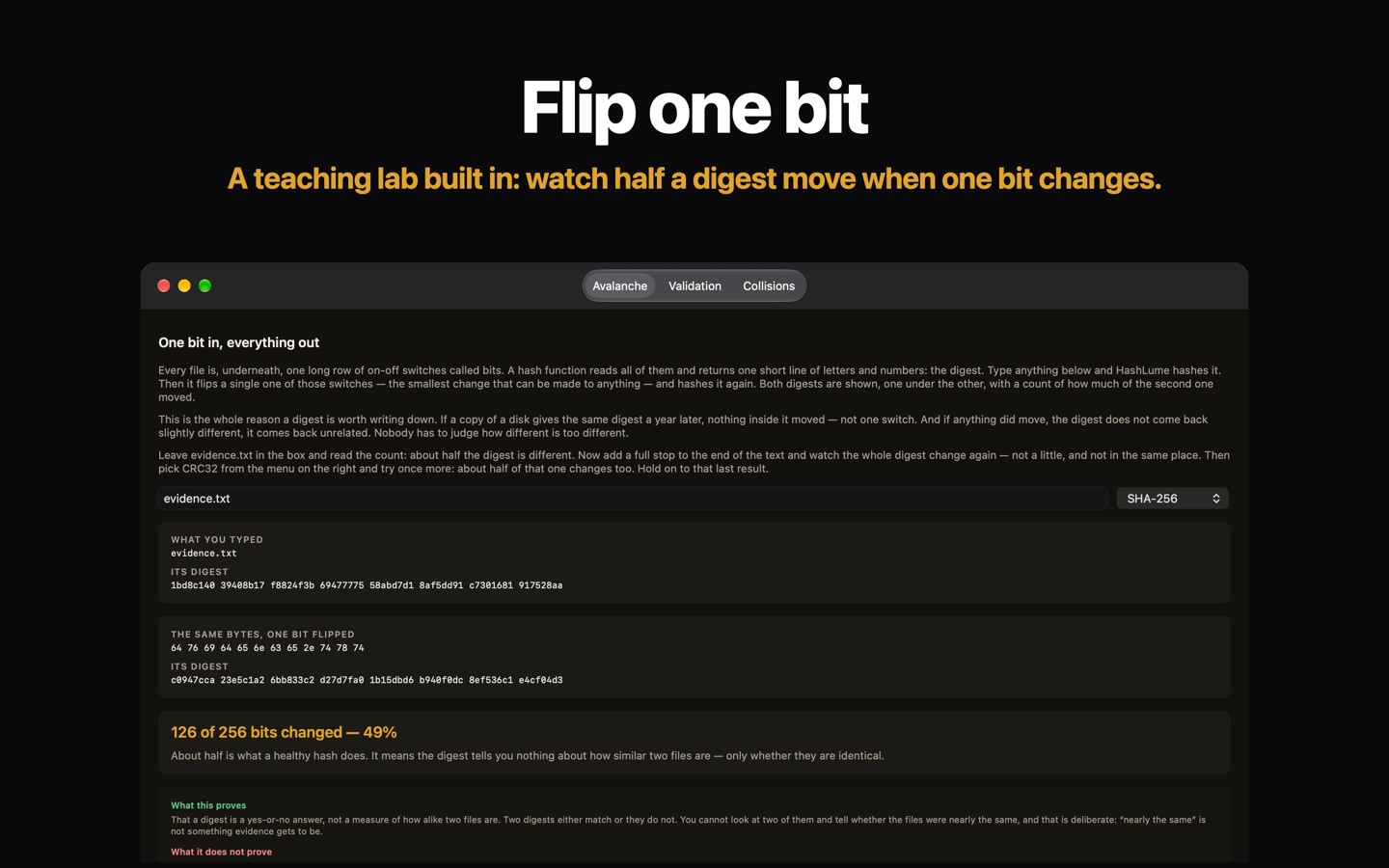 HashLume’s built-in lab: flip one bit of a file name and watch about half of its SHA-256 digest change