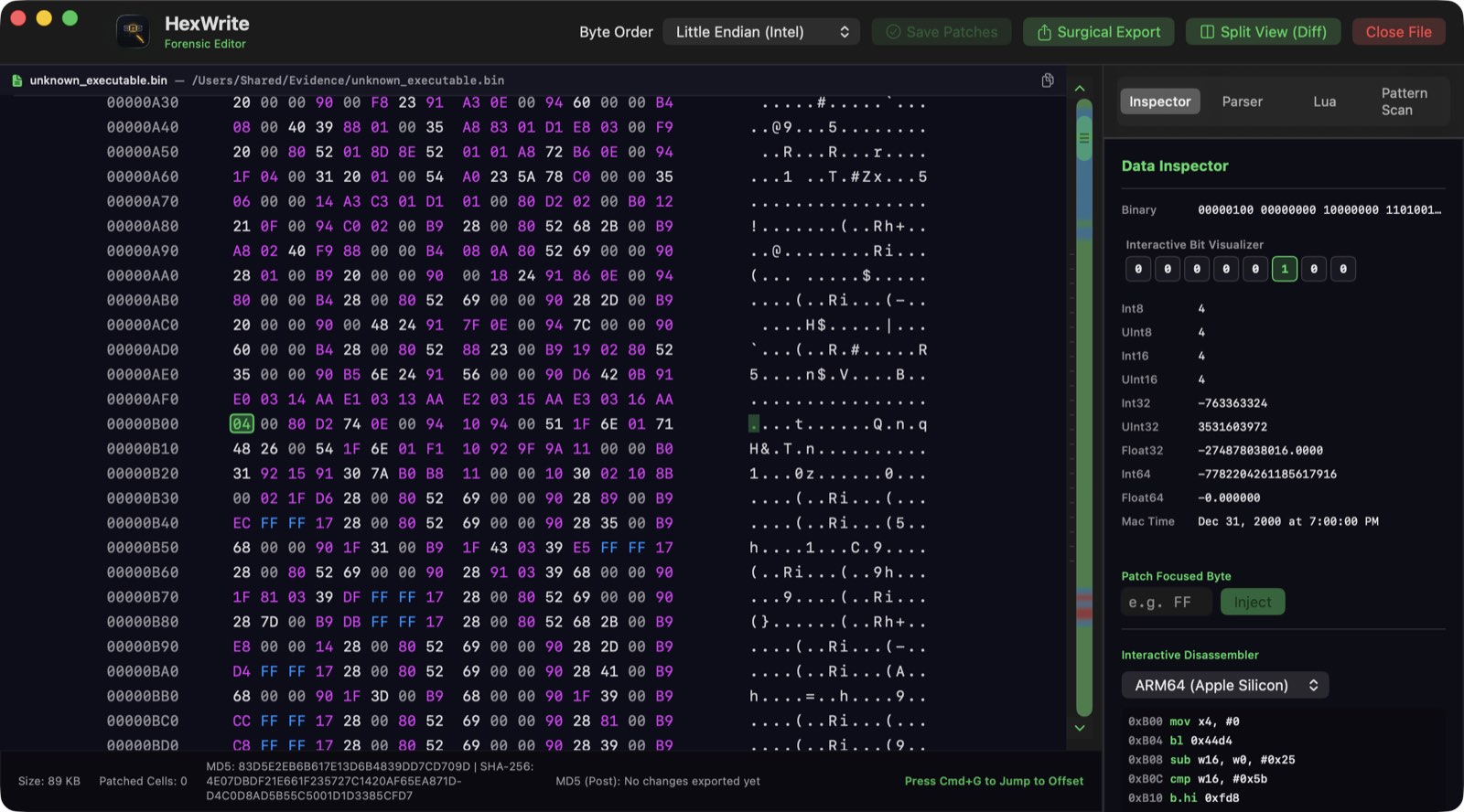 HexWrite on macOS: a hex grid with offsets and ASCII beside the Data Inspector and an ARM64 disassembly